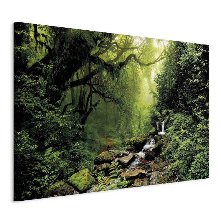 Canvas Waterfall in the Forest 98193 additionalImage 2