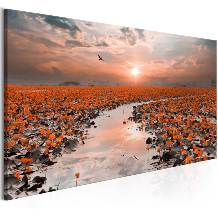 Canvas Art Print Lily Path (1-part) Narrow - Plants against Sunset 107304 additionalImage 2
