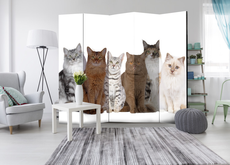 Room Separator Sweet Kittens II - white and beige animals on a solid white background 107604 additionalImage 4