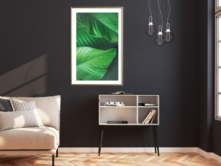 Wall Poster Beautiful Greenery - frame of tropical leaves in the midst of an exotic jungle 114304 additionalImage 13