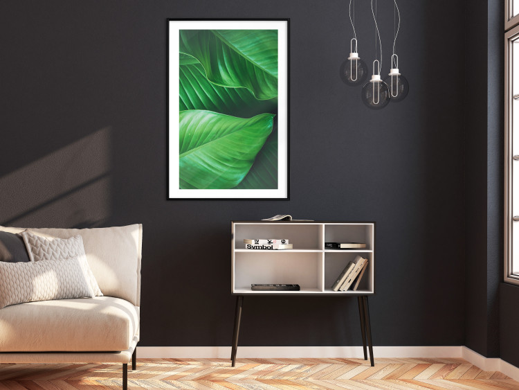 Wall Poster Beautiful Greenery - frame of tropical leaves in the midst of an exotic jungle 114304 additionalImage 4