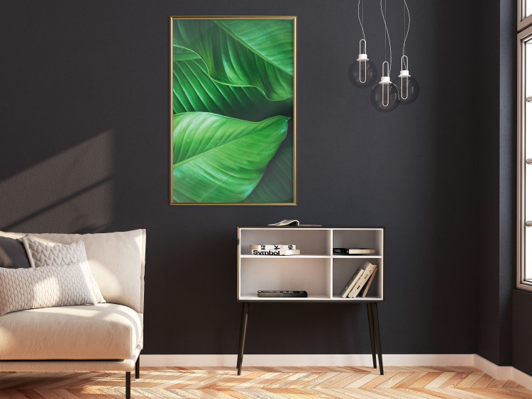 Wall Poster Beautiful Greenery - frame of tropical leaves in the midst of an exotic jungle 114304 additionalImage 5