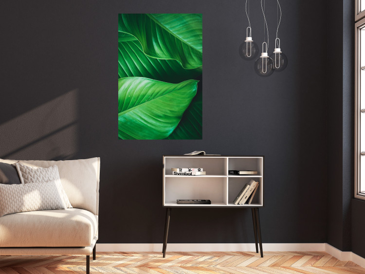 Wall Poster Beautiful Greenery - frame of tropical leaves in the midst of an exotic jungle 114304 additionalImage 18