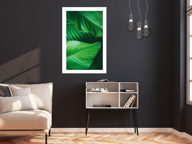 Wall Poster Beautiful Greenery - frame of tropical leaves in the midst of an exotic jungle 114304 additionalImage 2