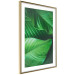 Wall Poster Beautiful Greenery - frame of tropical leaves in the midst of an exotic jungle 114304 additionalThumb 6