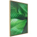 Wall Poster Beautiful Greenery - frame of tropical leaves in the midst of an exotic jungle 114304 additionalThumb 12