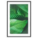 Wall Poster Beautiful Greenery - frame of tropical leaves in the midst of an exotic jungle 114304 additionalThumb 19