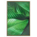 Wall Poster Beautiful Greenery - frame of tropical leaves in the midst of an exotic jungle 114304 additionalThumb 17
