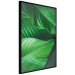 Wall Poster Beautiful Greenery - frame of tropical leaves in the midst of an exotic jungle 114304 additionalThumb 10