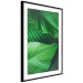 Wall Poster Beautiful Greenery - frame of tropical leaves in the midst of an exotic jungle 114304 additionalThumb 11