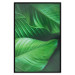 Wall Poster Beautiful Greenery - frame of tropical leaves in the midst of an exotic jungle 114304 additionalThumb 16