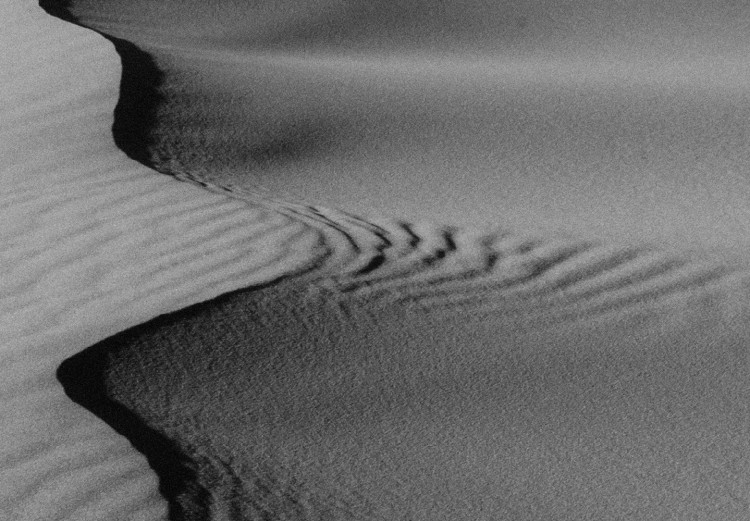 Wall Poster Desert in Morocco - black and white landscape amid hot sands 116504 additionalImage 9