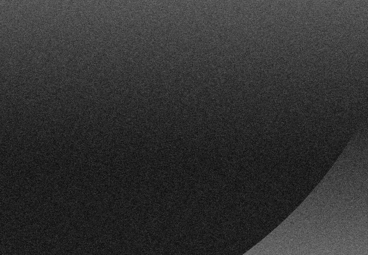 Poster Partial Eclipse - simple black and white geometric composition 116604 additionalImage 8
