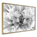 Wall Poster Geometric Bouquet - black and white unique abstraction in lily flowers 117204 additionalThumb 12
