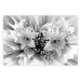 Wall Poster Geometric Bouquet - black and white unique abstraction in lily flowers 117204