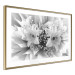 Wall Poster Geometric Bouquet - black and white unique abstraction in lily flowers 117204 additionalThumb 8