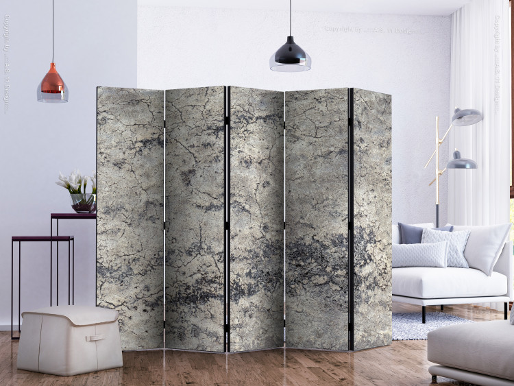 Room Divider Grey Lady II (5-piece) - pattern in grays with concrete structure 124104 additionalImage 2