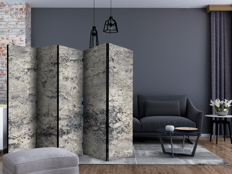 Room Divider Grey Lady II (5-piece) - pattern in grays with concrete structure 124104 additionalImage 4