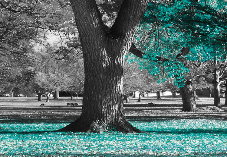 Large canvas print Autumn in the Park (Turquoise) II [Large Format] 125604 additionalImage 3