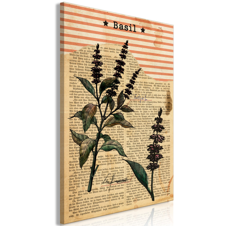 Canvas Art Print Basil Poetry (1-part) vertical - plant in vintage motif 129404 additionalImage 2