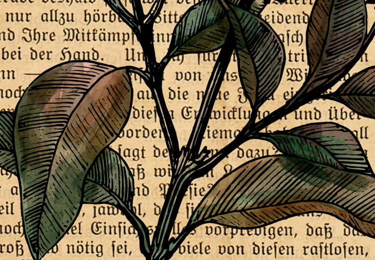 Canvas Art Print Basil Poetry (1-part) vertical - plant in vintage motif 129404 additionalImage 5