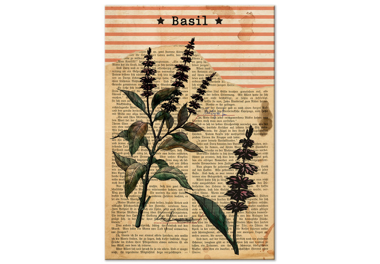 Canvas Art Print Basil Poetry (1-part) vertical - plant in vintage motif 129404