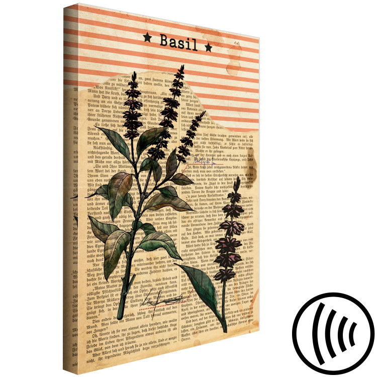 Canvas Art Print Basil Poetry (1-part) vertical - plant in vintage motif 129404 additionalImage 6