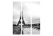 Room Divider Paris: Eiffel Tower - black and white cityscape architecture in fog 133804 additionalThumb 3