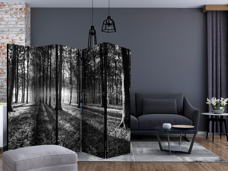 Room Separator Grey Wilderness II - black and white forest landscape with sunlight 134104 additionalImage 4