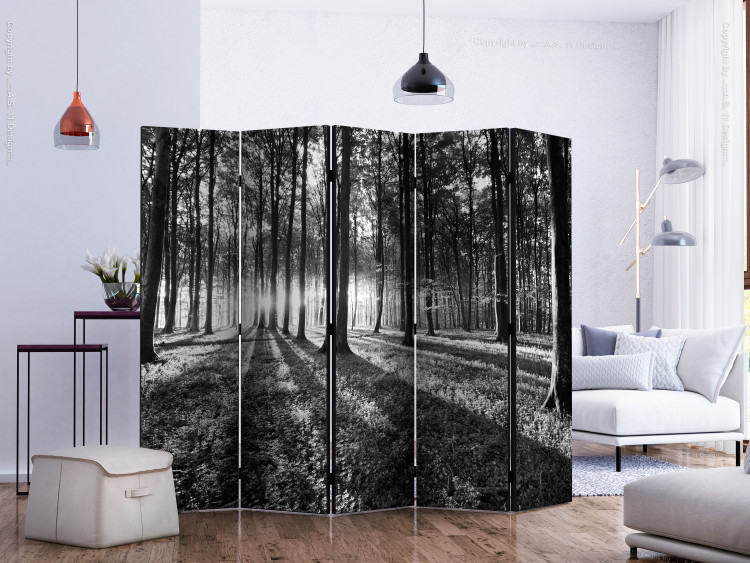 Room Separator Grey Wilderness II - black and white forest landscape with sunlight 134104 additionalImage 2