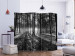 Room Separator Grey Wilderness II - black and white forest landscape with sunlight 134104 additionalThumb 2