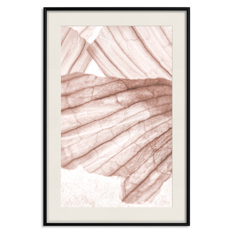 Wall Poster Winged Light - abstract light wood texture 135304 additionalImage 24