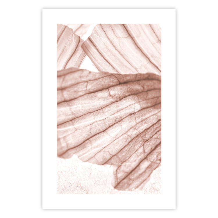Wall Poster Winged Light - abstract light wood texture 135304 additionalImage 27