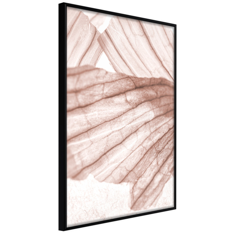 Wall Poster Winged Light - abstract light wood texture 135304 additionalImage 13