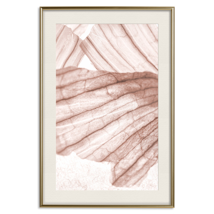 Wall Poster Winged Light - abstract light wood texture 135304 additionalImage 22