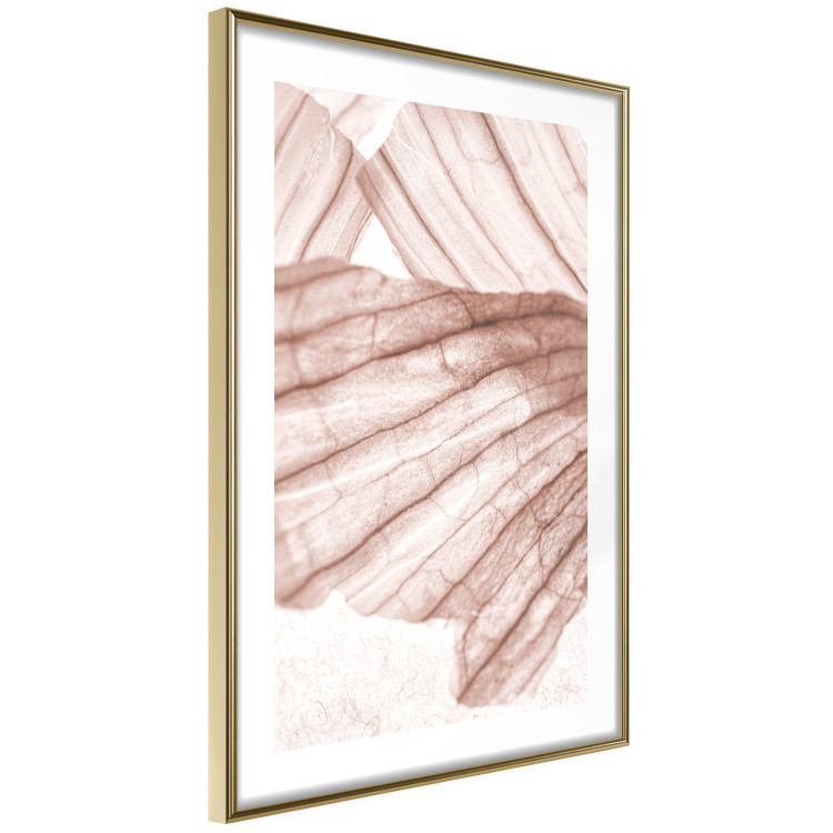 Wall Poster Winged Light - abstract light wood texture 135304 additionalImage 10