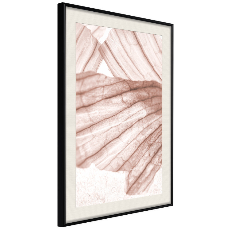 Wall Poster Winged Light - abstract light wood texture 135304 additionalImage 14