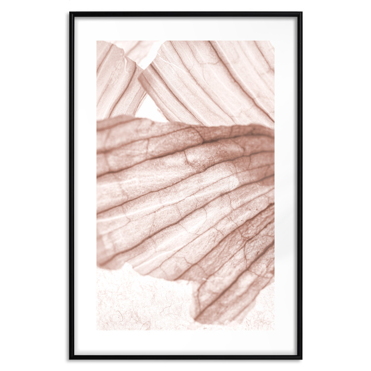 Wall Poster Winged Light - abstract light wood texture 135304 additionalImage 25