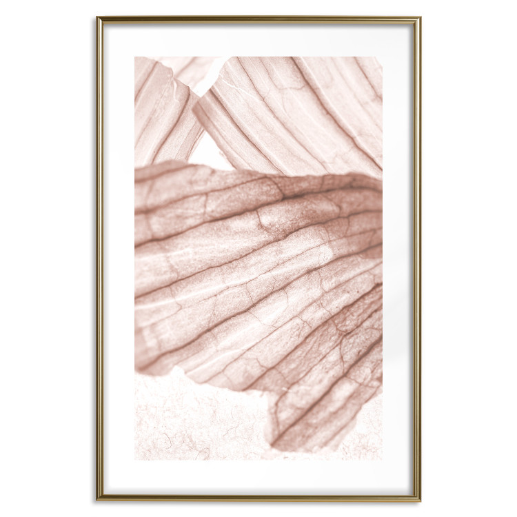 Wall Poster Winged Light - abstract light wood texture 135304 additionalImage 23