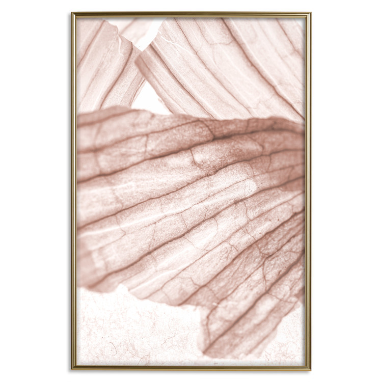 Wall Poster Winged Light - abstract light wood texture 135304 additionalImage 19