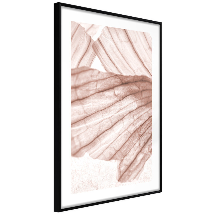 Wall Poster Winged Light - abstract light wood texture 135304 additionalImage 12
