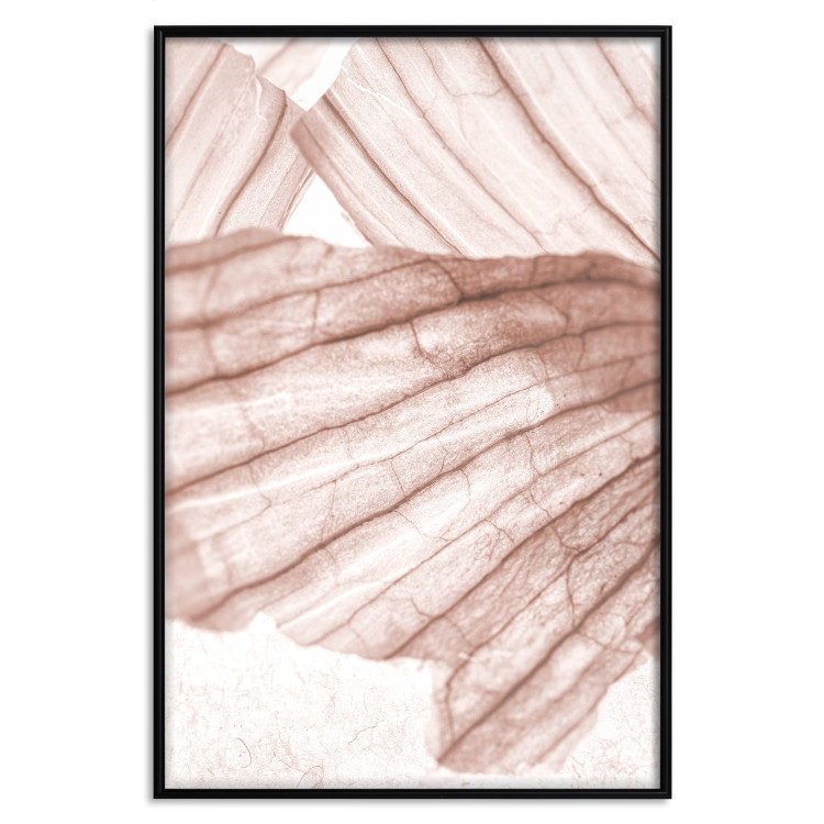 Wall Poster Winged Light - abstract light wood texture 135304 additionalImage 3
