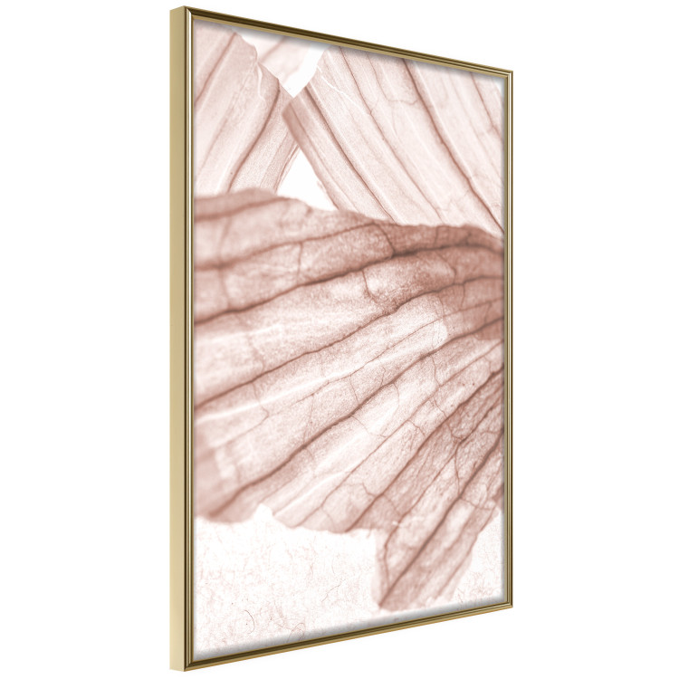 Wall Poster Winged Light - abstract light wood texture 135304 additionalImage 16