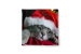 Decorative Velor Pillow Cat with Santa hat - Christmas animal on dark background 148504 additionalThumb 5