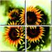 Canvas Print Sunflowers 48604