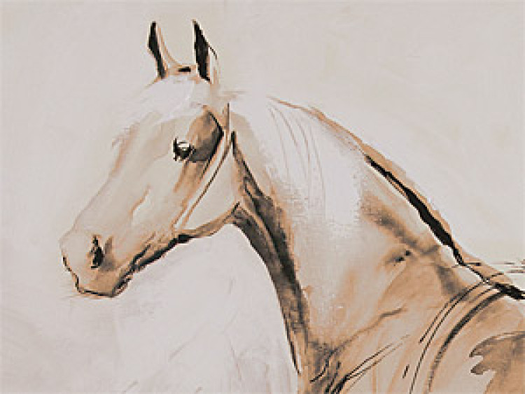 Canvas Print White horse 49504 additionalImage 2