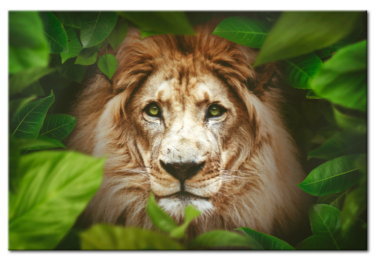Canvas Print Eyes of the jungle 56604