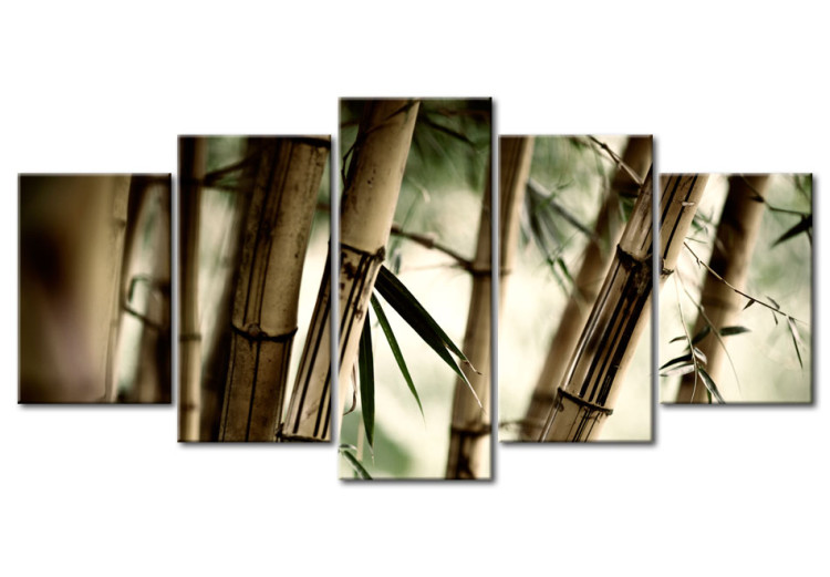 Canvas Asian bamboo forest 58604
