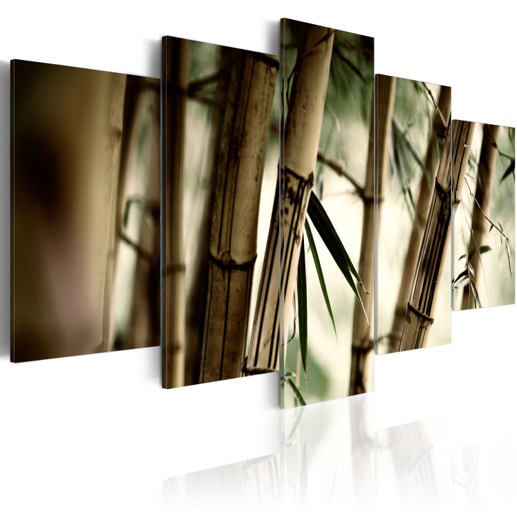 Canvas Asian bamboo forest 58604 additionalImage 2