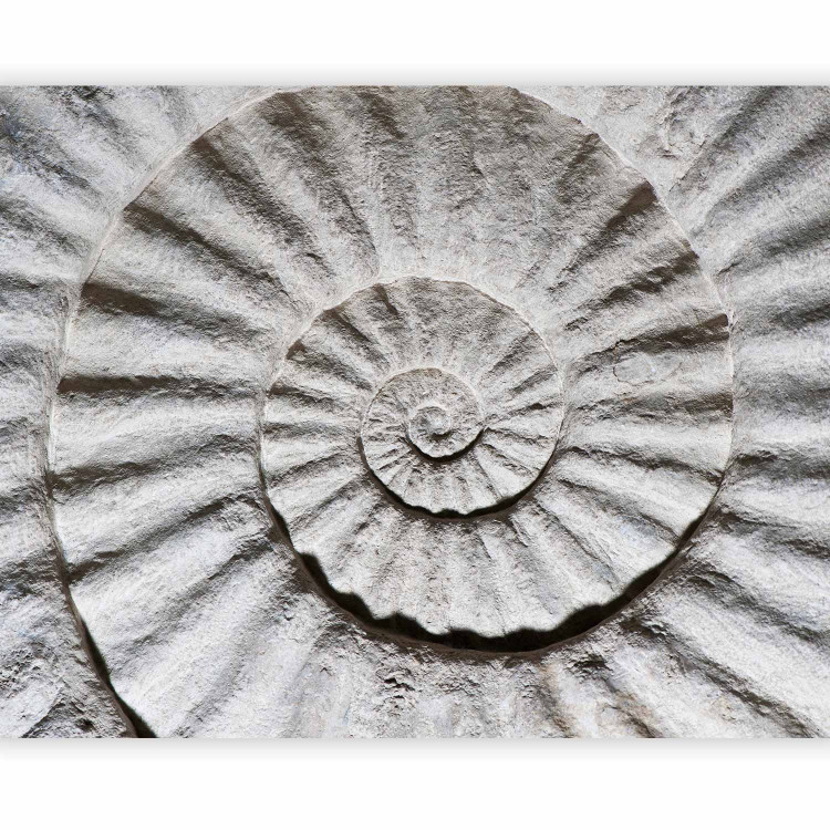 Photo Wallpaper Stone Ammonite - Abstract Design in Grayish-white Seashell Pattern 61004 additionalImage 1